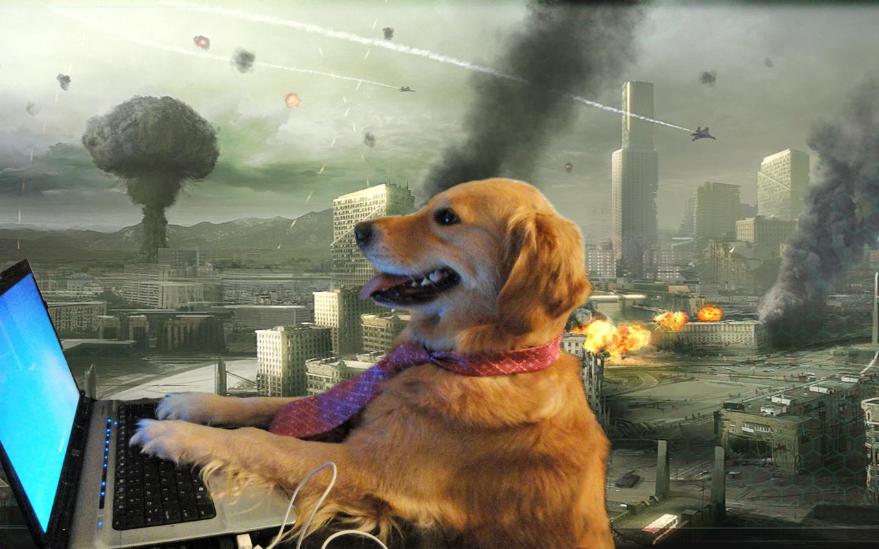 dog war hacker Meme Template